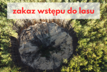 Zapadliska - Zakaz wstępu do lasu